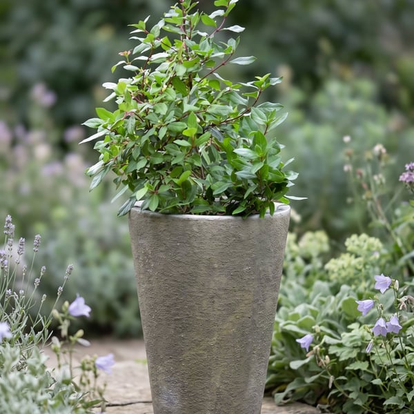Grand Long Tom Stone Garden Pot with large pot feet