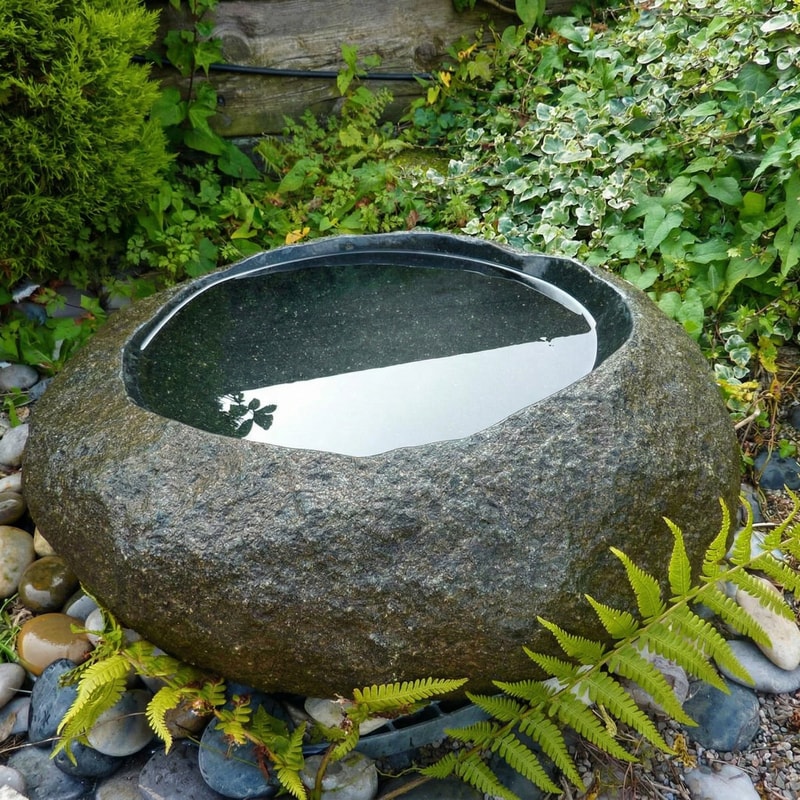 Natural basin stone bird bath set into planting with shallow stepped interior